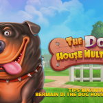 Tips Maxwin Bermain di The Dog House Multihold
